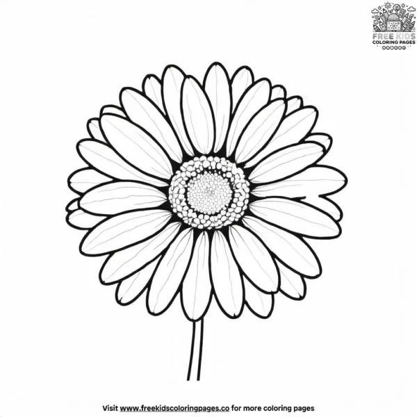 Daisy blossom coloring pages