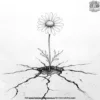 Daisy Growing Through a Cracked Pavement Coloring Pages