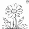 Daisy Growing in the Garden Coloring Pages