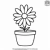 Daisy in a Pot Coloring Pages