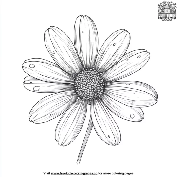 Daisy with dew drops coloring pages