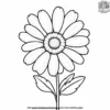 Daisy with Two Leaves Coloring Pages