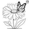 Daisy with a Butterfly on Petal Coloring Pages