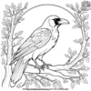 Dark Raven on a Branch Coloring Pages