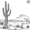 Desert Spirit Coloring Pages