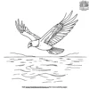 Eagle Gliding Over Water Coloring Pages