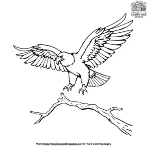 Eagle landing on a branch coloring pages