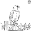 Eagle Perched on a Fence Coloring Pages