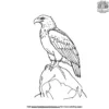 Eagle Perched on a Rock Coloring Pages