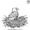 Eagle in a Nest Coloring Pages