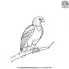 Eagle on a Branch Coloring Pages