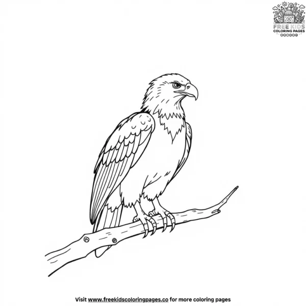 Eagle on a branch coloring pages