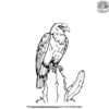 Eagle on a Cactus Coloring Pages