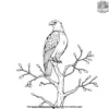 Eagle on a High Tree Coloring Pages