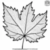 Elegant Leaf Zentangle Coloring Pages