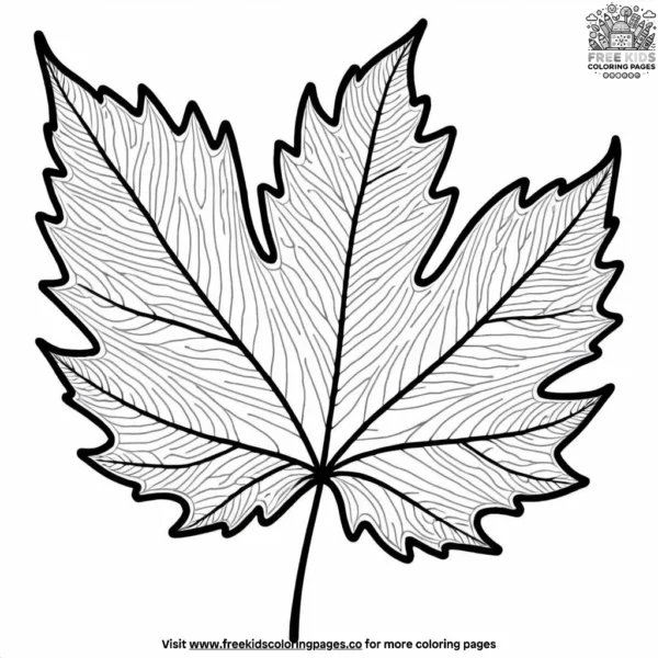 Elegant leaf zentangle coloring pages