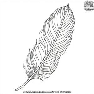 Feather Outline Coloring Pages