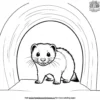 Ferret Playing Coloring Pages