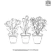 Flower Pot Collections Coloring Pages