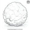 Fluffy White Snowball Coloring Pages