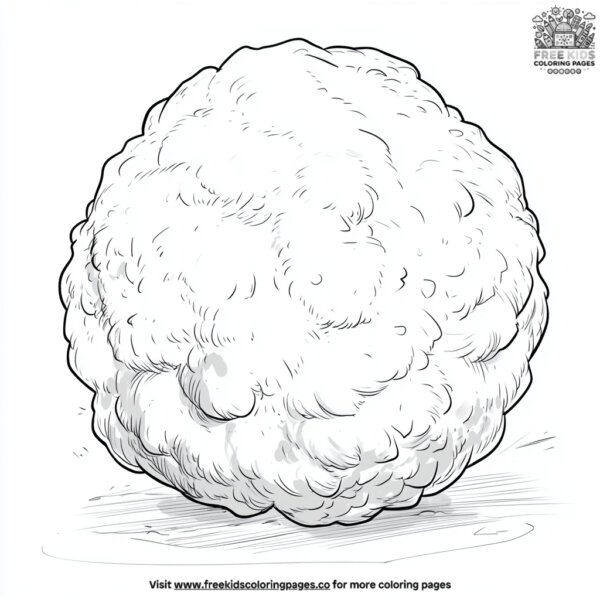 Fluffy white snowball coloring pages