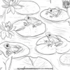 Frogs and Lily Pads Coloring Pages