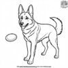 German Shepherd Fetching a Frisbee Coloring Pages