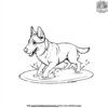 German Shepherd Splashing in a Puddle Coloring Pages