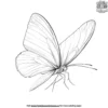 Graceful Butterfly Coloring Pages