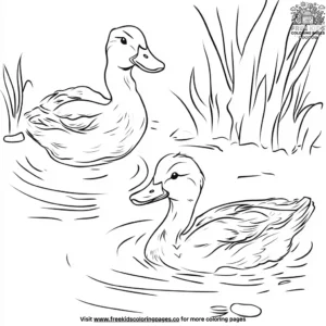 Happy Ducks in a Pond Coloring Pages