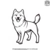 Happy Husky Coloring Pages