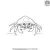 Hermit Crab Coloring Pages