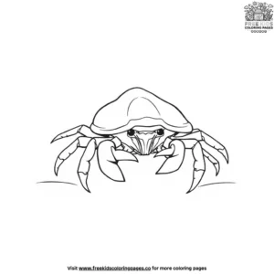 Hermit Crab Coloring Pages