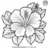 Hibiscus Flower Coloring Pages