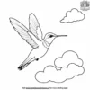 Hummingbird Above Clouds Coloring Pages