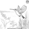 Hummingbird By A Lake Coloring Pages