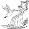 Hummingbird Near Waterfall Coloring Pages