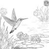 Hummingbird On A Pond Coloring Pages