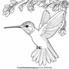 Hummingbird Under A Tree Coloring Pages