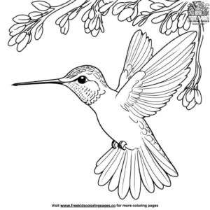 Hummingbird Under A Tree Coloring Pages