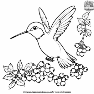 Hummingbird With Berries Coloring Pages