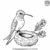 Hummingbird With Nest Coloring Pages