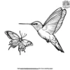 Hummingbird and Butterfly Coloring Pages