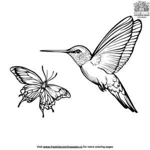 Hummingbird and Butterfly Coloring Pages