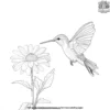 Hummingbird and Daisy Coloring Pages