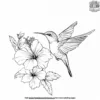 Hummingbird and Hibiscus Coloring Pages