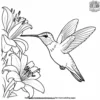 Hummingbird and Lily Coloring Pages