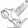 Hummingbird and Tulip Coloring Pages