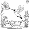 Hummingbird by A Stream Coloring Pages