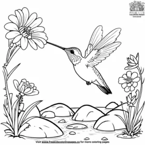 Hummingbird by A Stream Coloring Pages